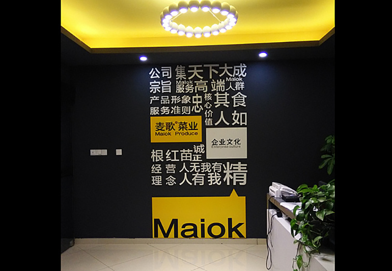 麥歌菜業(yè)文化墻展示